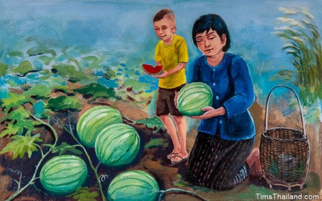 woman and boy picking watermelons