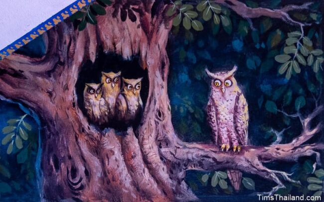 owls