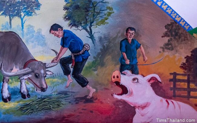 a farmer with a buffalo and a pig