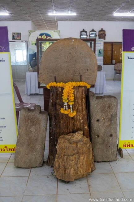 sandstone blocks, broken bai sema, and petrified wood in museum