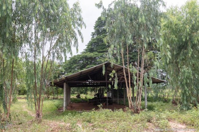 distant view of shrine