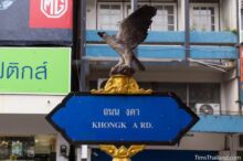 <b>Krabi city</b><br>This is a white-bellied sea eagle (<i>nok-awk</i>). These birds are rare in Thailand, though several nest in the Krabi area. Krabi street sign with while-bellied sea eagle on top