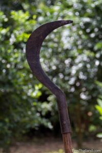 sickle