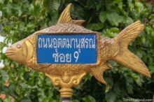 <b>Sangkhlaburi, Kanchanaburi province</b><br>This fish is Jullien's golden carp (<i>bplaa yisok</i>), a common fish and popular food in the province. Some say that if you don't eat it, you didn't really visit Kanchanaburi. street sign with fish