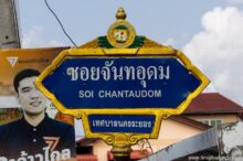 <b>Rayong city</b><br>Rayong chose a war elephant as its symbol in honor of King Taksin, who used Rayong as a base of operations before eventually defeating the Burmese in 1767. The leaves are from the species of tree (<i>ton satue - Crudia chrysantha</i>) that’s it’s said King Taksin once rested his elephant under. street sign with an elephant