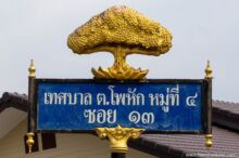 <b>Pho Hak, Ratchaburi province</b><br>This town was named after an ancient Bodhi tree that broke. street sign with bodhi tree atop it