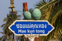 <b>Thap Sakae, Prachuap Khiri Khan province</b><br>Thap Sakae coconuts are a hybrid variety known for their fragrant oil, making the milk popular for cooking here and beyond. boat with coconuts on top